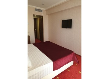 Стандарт 2-х местный 1-комнатный | Гранд Отель «Абхазия»| Номера и Цены